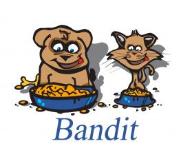 425-bandit.jpg