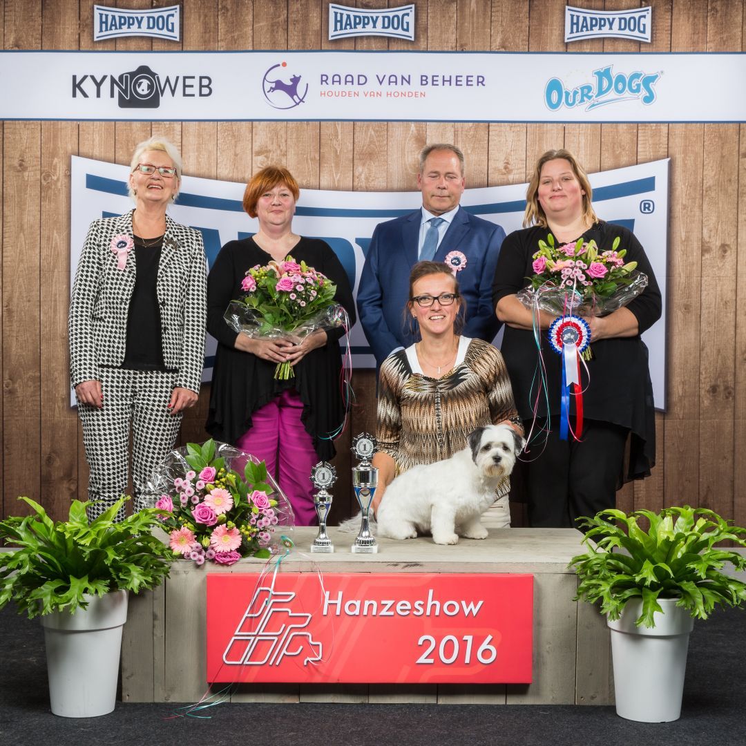 best_in_show_Zwolle1.jpg