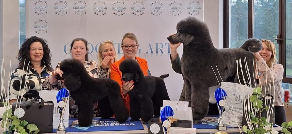 grooming art 2024 poodle.jpg
